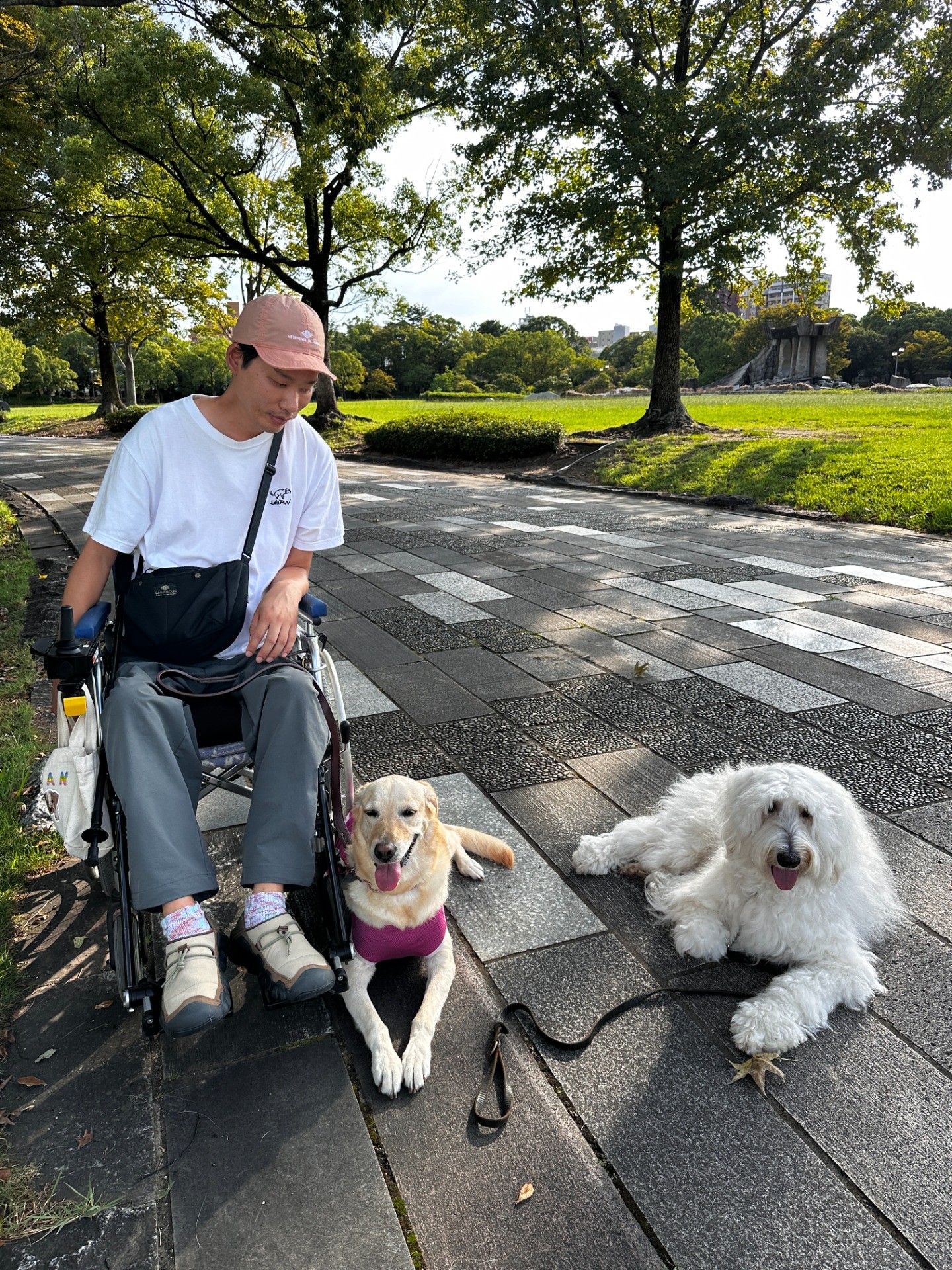 2,500kmの車中泊の旅【館山↔︎福岡】。ユーザーのフォローアップで行ってきました。