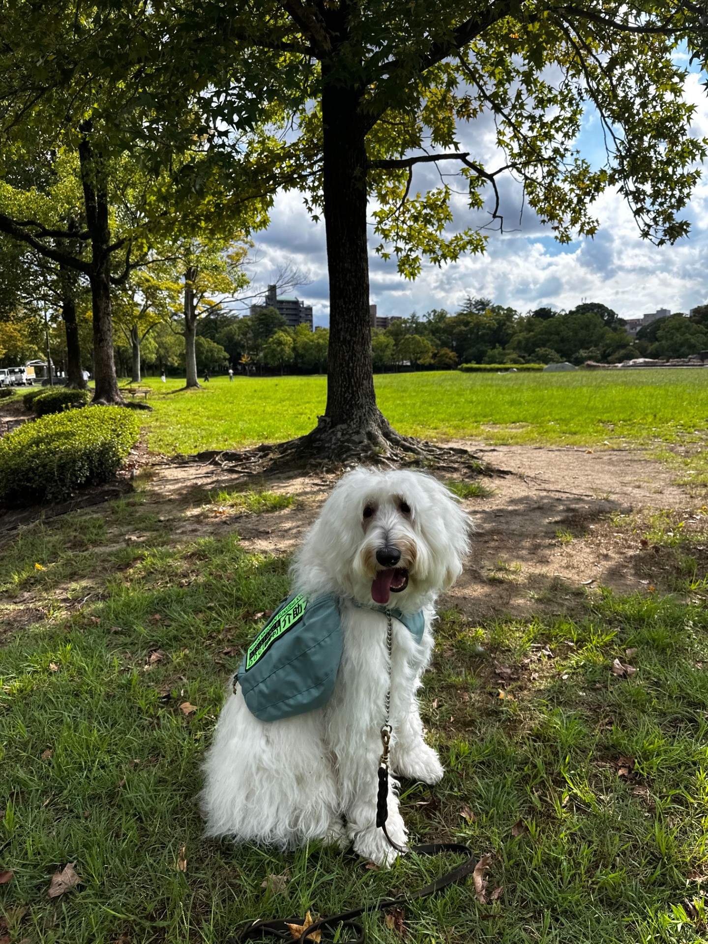 2,500kmの車中泊の旅【館山↔︎福岡】。ユーザーのフォローアップで行ってきました。