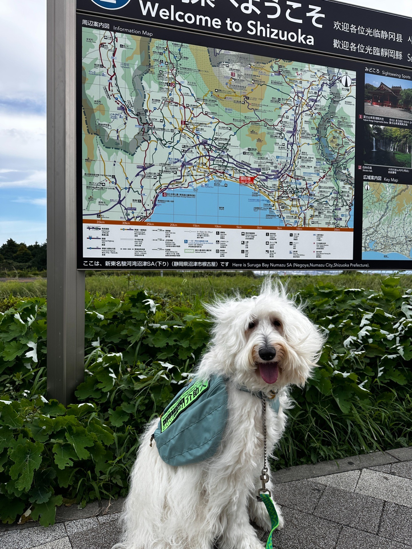 2,500kmの車中泊の旅【館山↔︎福岡】。ユーザーのフォローアップで行ってきました。