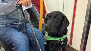 夏場に多い介助犬使用者への通報