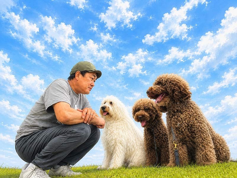 進化する介助犬の役割