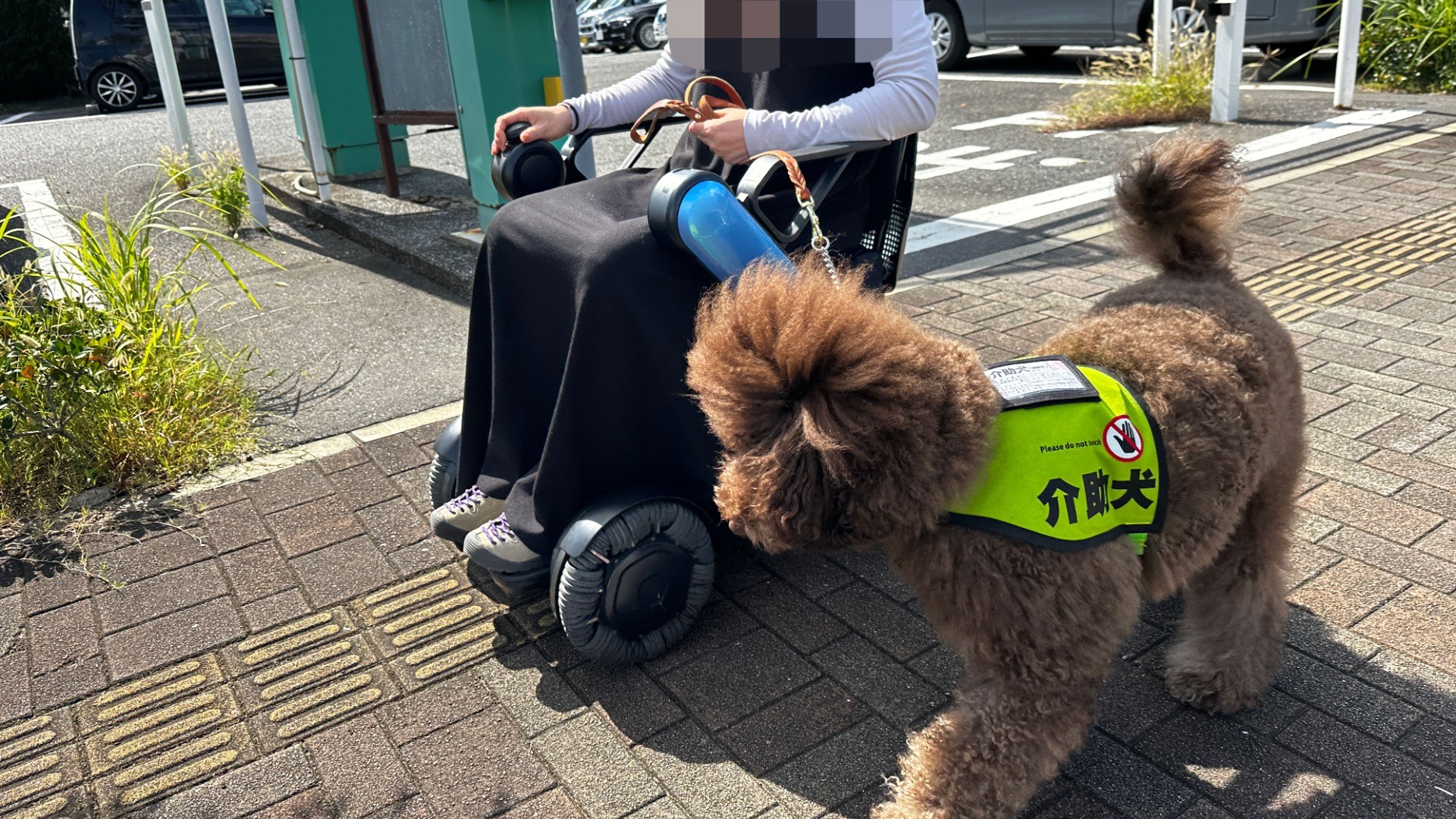 令和７年度は【先着4名】！！介助犬使用希望者を募集受付中！お急ぎください！