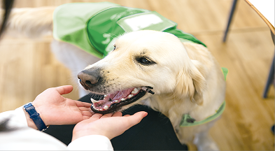 介助犬とビジネスマン