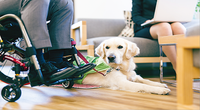 介助犬とビジネスマン